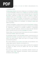 107978_ModeloPeter-Checkland