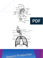 Speech Production