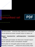 Pertemuaniv Komunikasi Sel