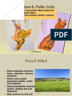 8 Lecture 8 Pallic Soils S1 2012