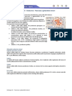 Istologia 15 - Endocrino - Pancreas e Ghiandole Minori