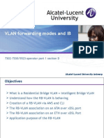 7 7302 5523 VLAN Setup and IB