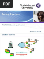 11 7302 5523 Operator ISAM Backup Restore