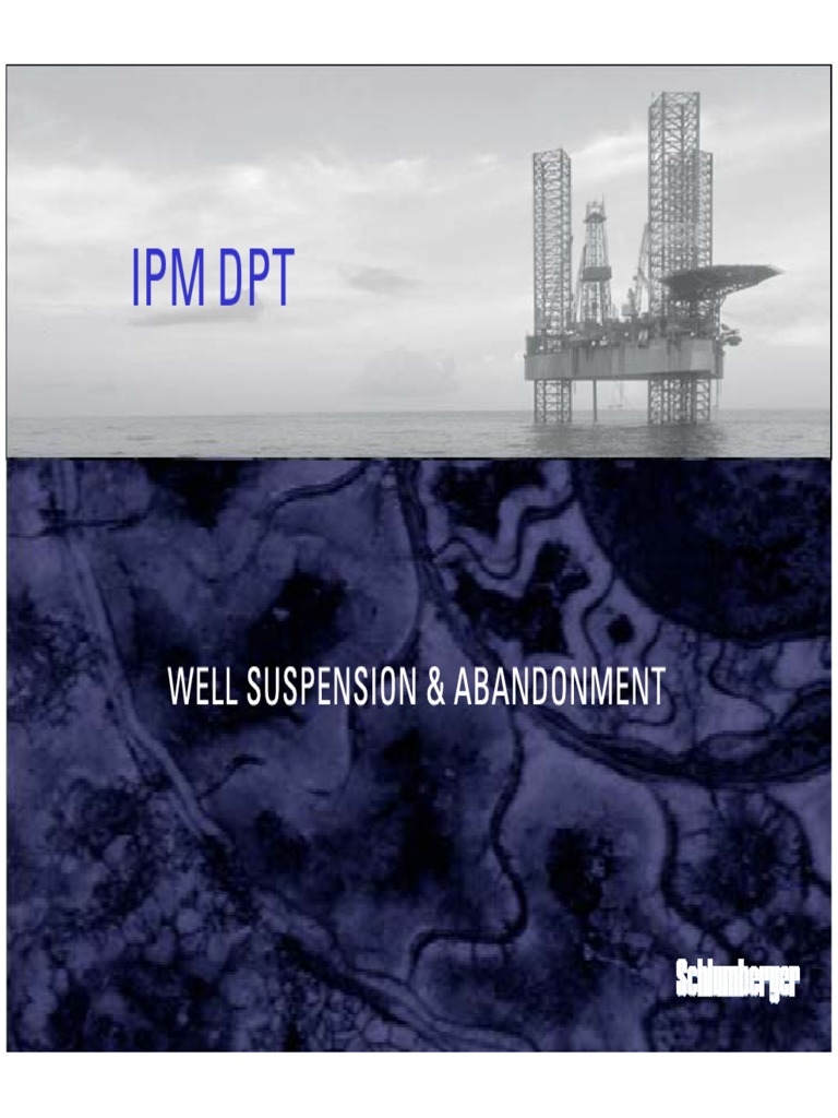 DPT Well S & A | PDF | Casing (Borehole) | Drilling Rig
