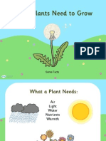 t2-s-230-what-plants-need-to-grow-powerpoint