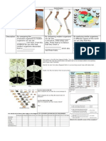 Evolution and Classification