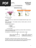 A Reprodução Das Plantas 6º ano