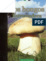 Los Hongos en Extremadura