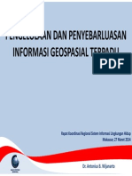 Informasi Geospasial Indonesia