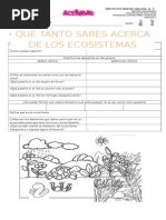 Actividades de Ecología