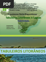 Trabalho Tabuleiros Litorâneos_Nacional