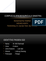 IGD - Corpus Alienum Auricula Sinistra