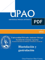 Blastulacion y Gatrulacion TEMA 5 PDF