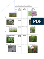 timeline for wetlands and watersheds unit