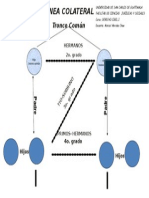 Esquema Parentesco Linea Colateral