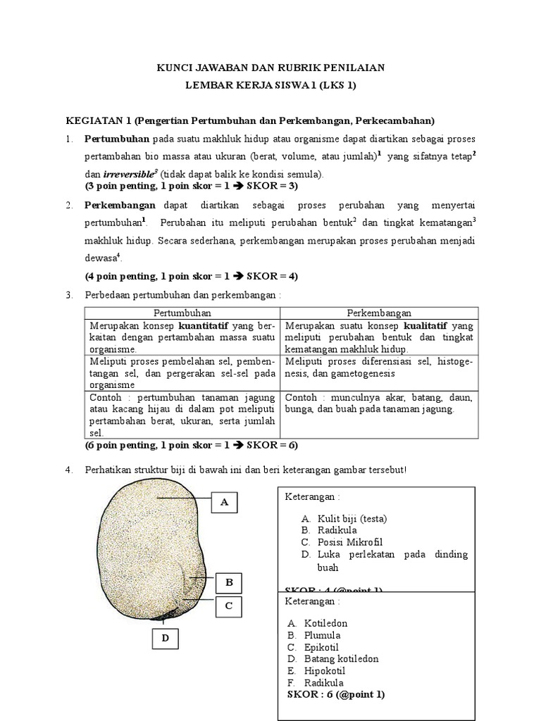 Contoh Lkpd Biologi Dan Kunci Jawaban Masnurul