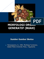S1-Morfologi Organ Generatif (Buah)-Rev2014