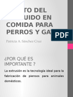 Efecto Del Extruido en Comida Para Perros y