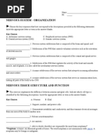 Nervous System Worksheet