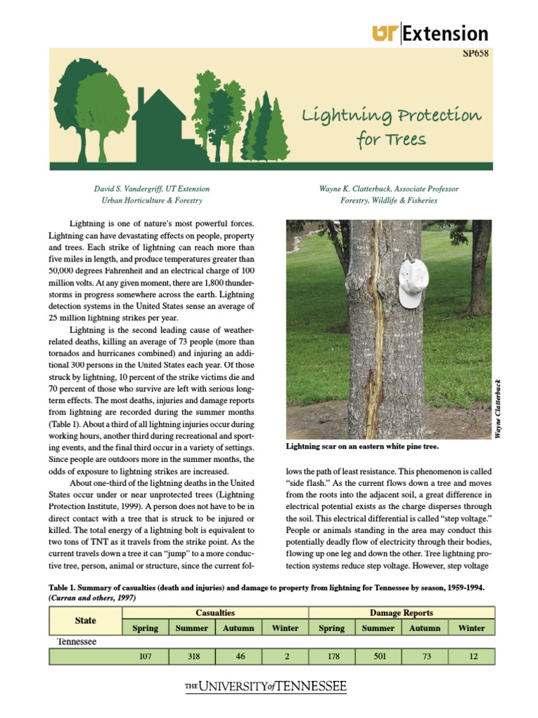 Tree Lightning Protection Systems Guide | PDF