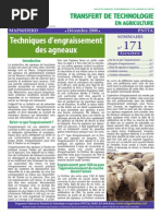 Technique D_angraissement Des Agneaux