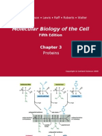 Molecular Biology of The Cell: Proteins