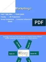 Synergy - Marketing Presentation 271109