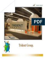 Casestudytridentgroup 130311072223 Phpapp02 PDF