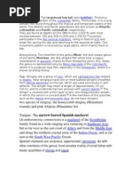 Local Fish Names in Tagalog | PDF | Recreational Fishing | Fish