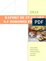 Raport Evaluare Boromir SA Buzau PDF