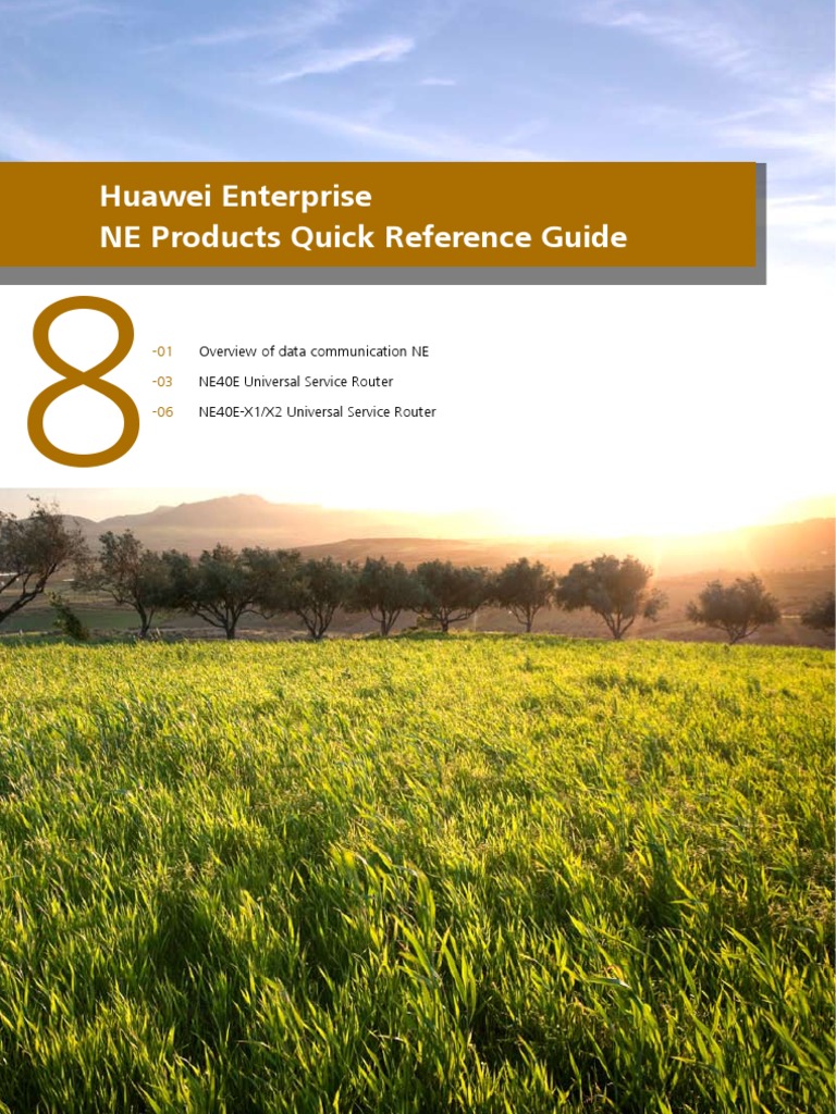 Huawei NE Product Quick Reference Guide | PDF | I Pv6 | Multiprotocol ...