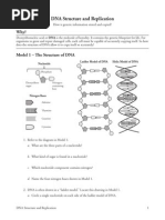 18 Dna Structure and Replication-S