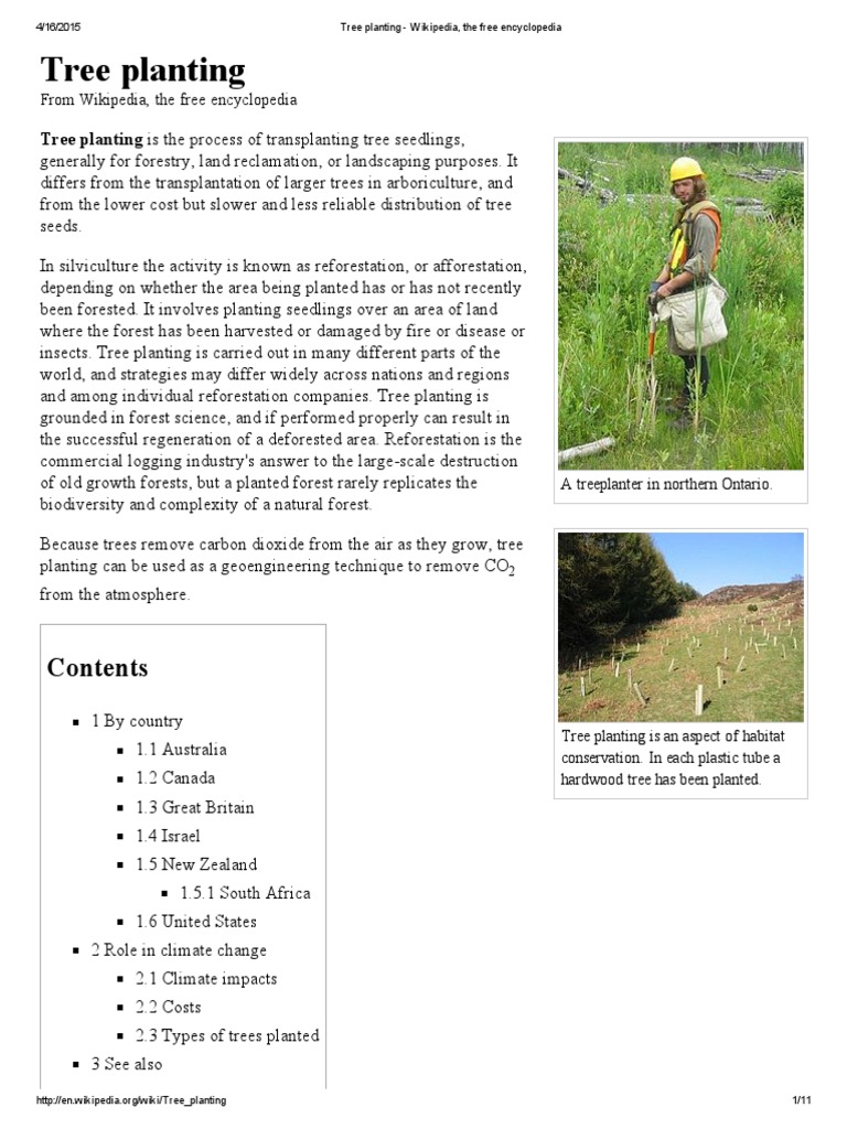 Tree Planting Wikipedia, The Free Encyclopedia Natural Resource