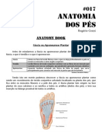 017 - Anatomy Book - Anatomia Dos Pés