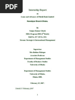 Download Internship Report on Loans and Advances of Pubali Bank Limited by allin007 SN262086378 doc pdf