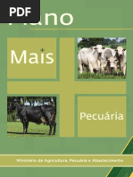 Plano Mais Pecuária