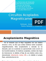 Acoplamiento Magnetico