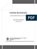Paper Biodiesel