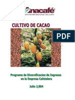 Cultivo de Cacao