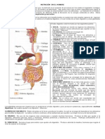 Taller Digestion