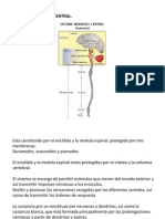 Basesbiologicasunidad2 121108235745 Phpapp02