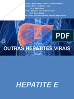 Outras Hepatites Virais