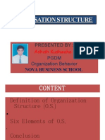 Ion Structure