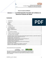 Determinantes Sociales de La Salud y La Atencion Primaria de Salud PDF
