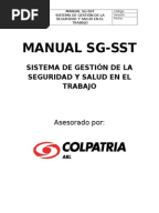 Carta Asignacion de Responsabilidad Del Sgsst
