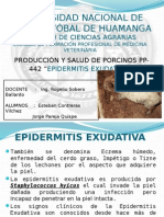 Epidermitis Exudativa