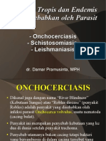 Onchocerciasis-Schistosomiasis-Leishmaniasis.pdf