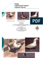 Lallo. Broiler Duck Production Manual