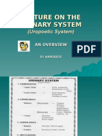 Lecture On Urinary System