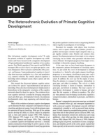 Langer, 2006, The Heterochronic Evolution of Primate Cognitive Development